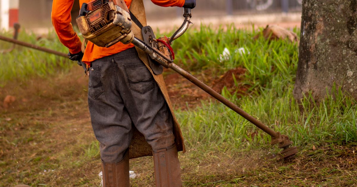 Common Misconceptions About Wood Chippers in Tree Trimming