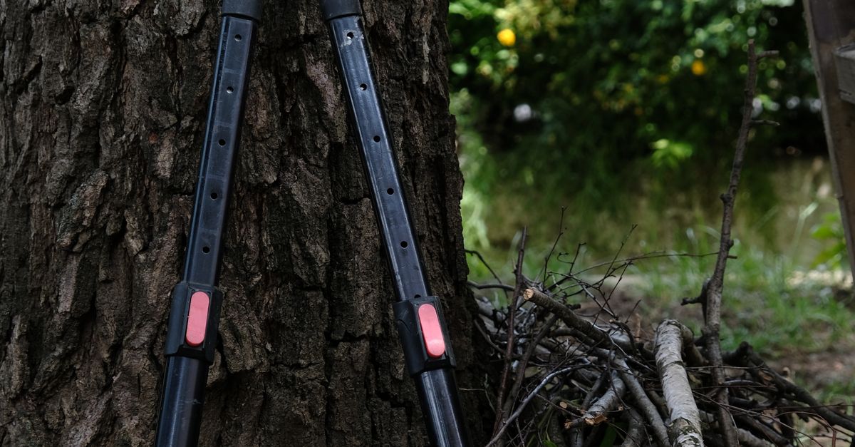 Creating an Emergency Drill Schedule for Tree Trimming Teams