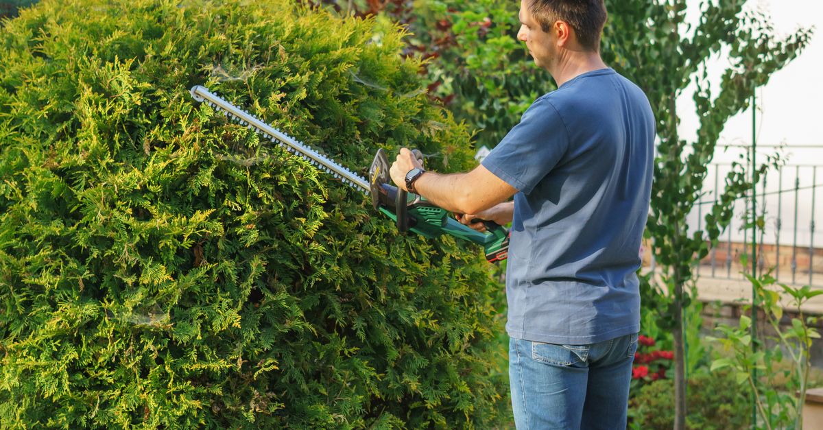 Developing an Emergency Action Plan for Tree Cutting Tasks