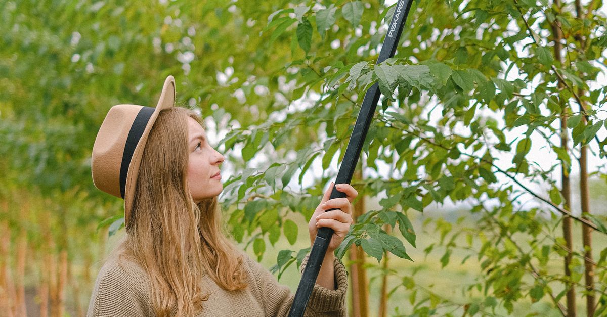 Evacuation Procedures for Tree Work Sites
