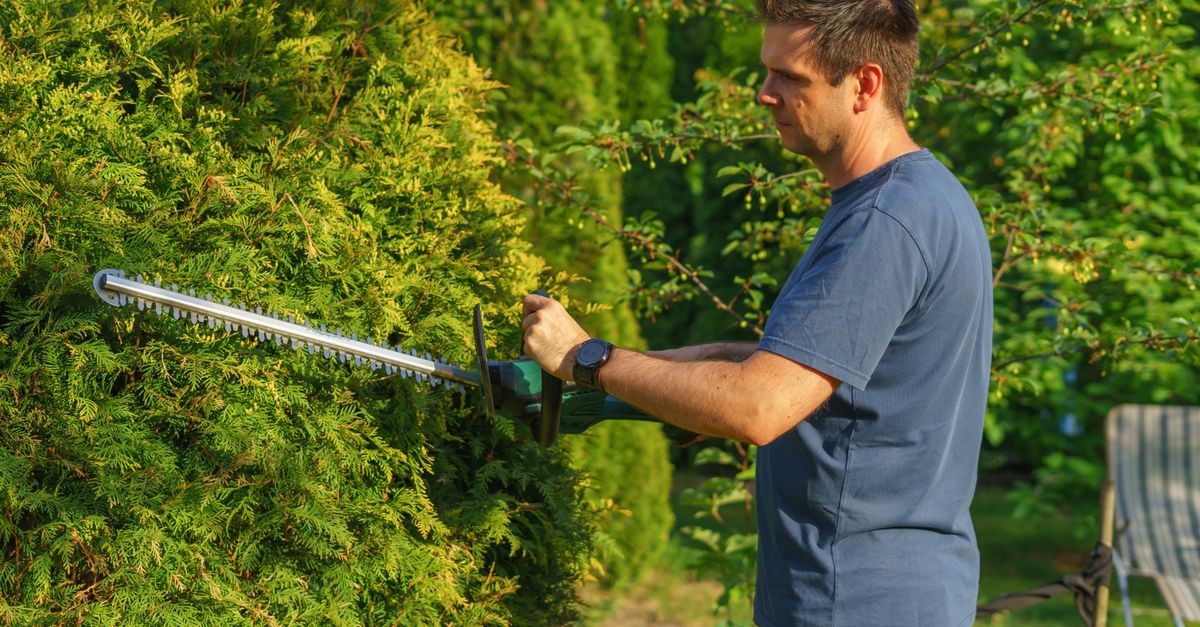 How to Maintain Your Pole Saw for Optimal Performance