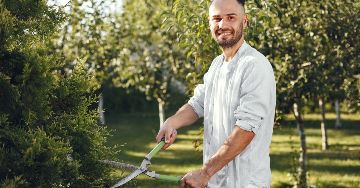 The Best Pole Saw Brands Available in Australia