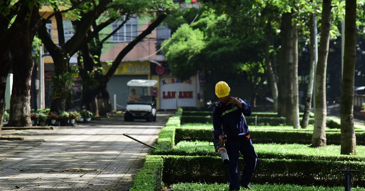 The Impact of Weather on Safety Gear Selection in Tree Trimming