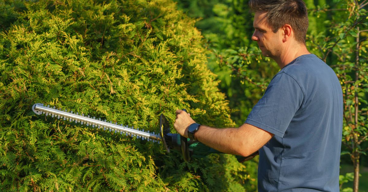 Understanding Electric vs Gas-Powered Pole Saws