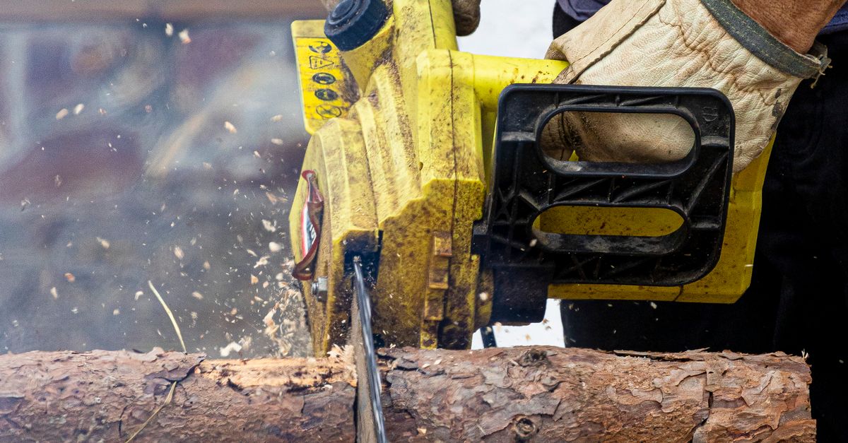 Upgrading Your Equipment: When to Invest in a Professional Wood Chipper